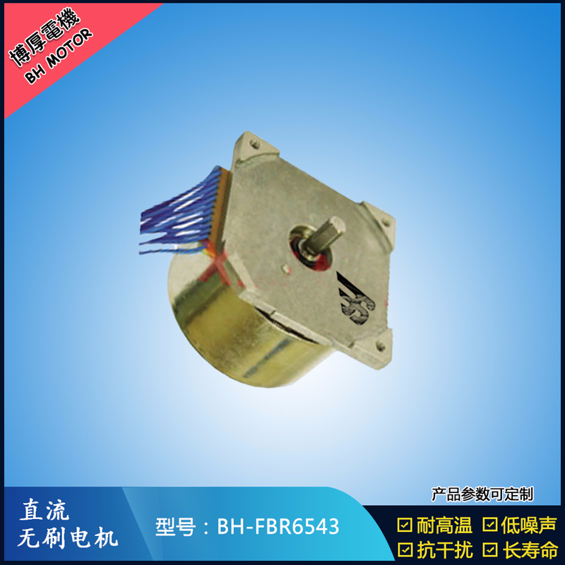 BHFBR6543無刷直流電機 BHFBR6543無刷直流電機